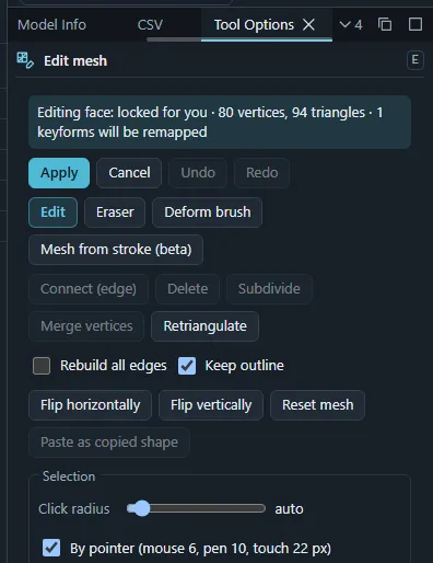 The Tool Options panel of the Edit mesh tool.